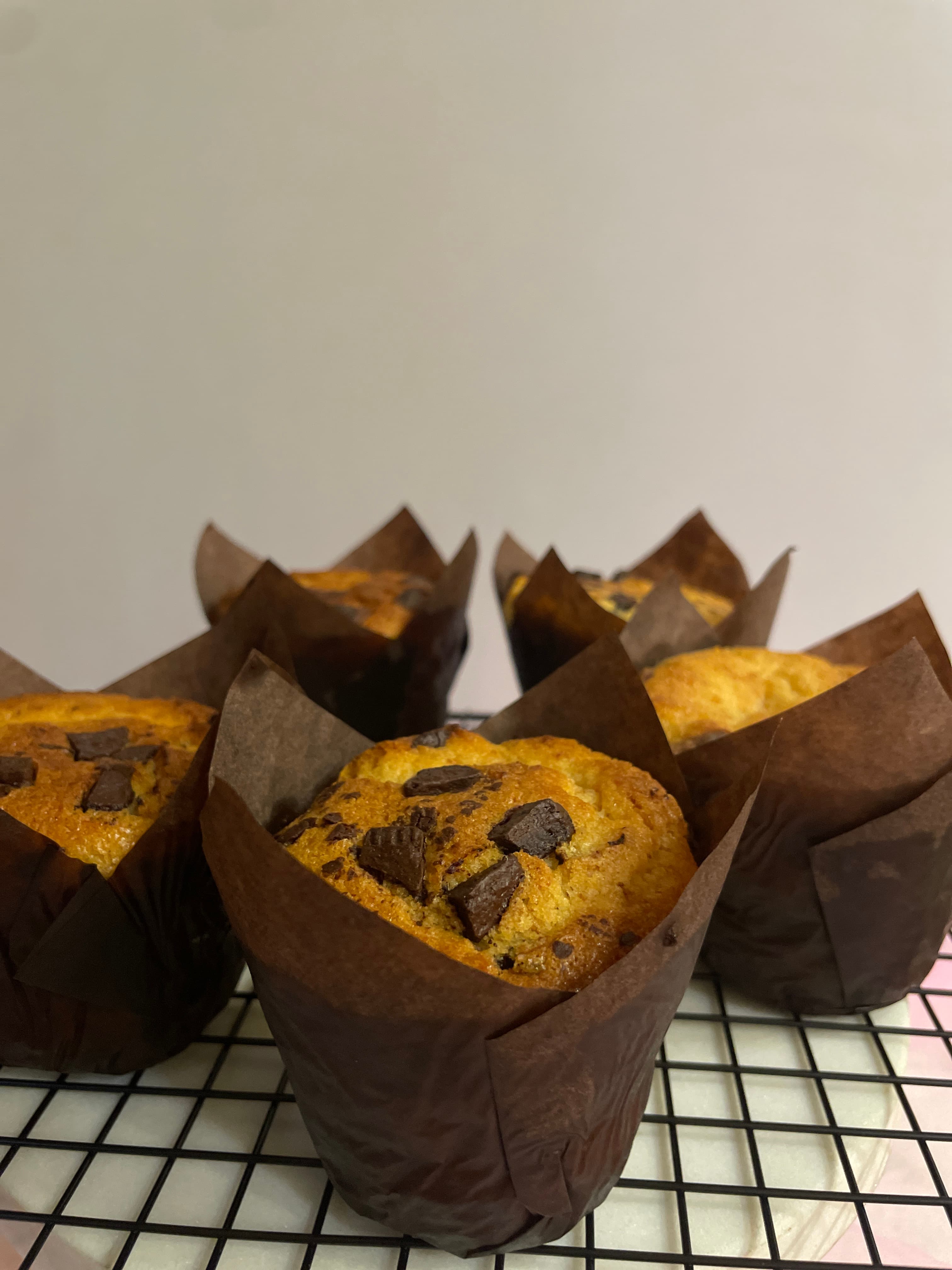 Chocolate Chunk Muffin